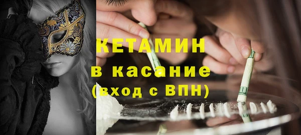 дмт Богданович