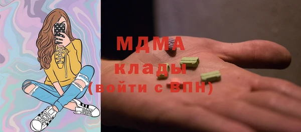 индика Богородск