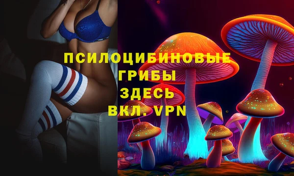 метадон Белокуриха