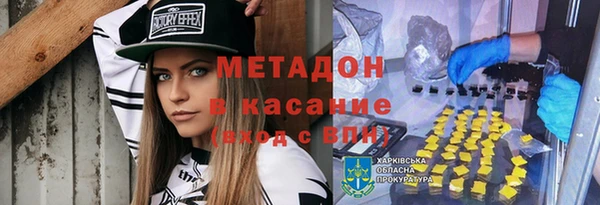 индика Богородск