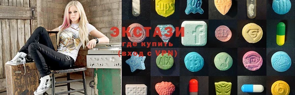 индика Богородск