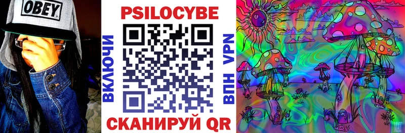 Псилоцибиновые грибы ЛСД  цены   Дигора 